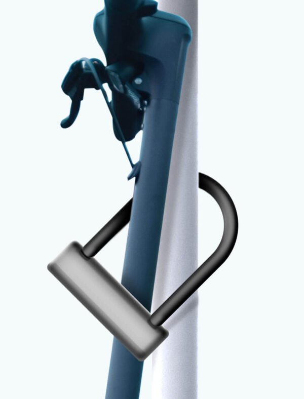 product 13 d.jpg