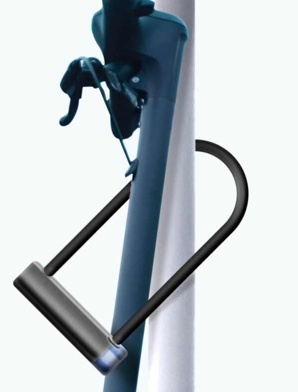 product 17 d.jpg