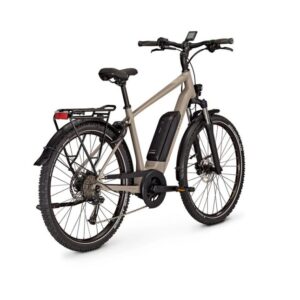 kalkhoff entice 1